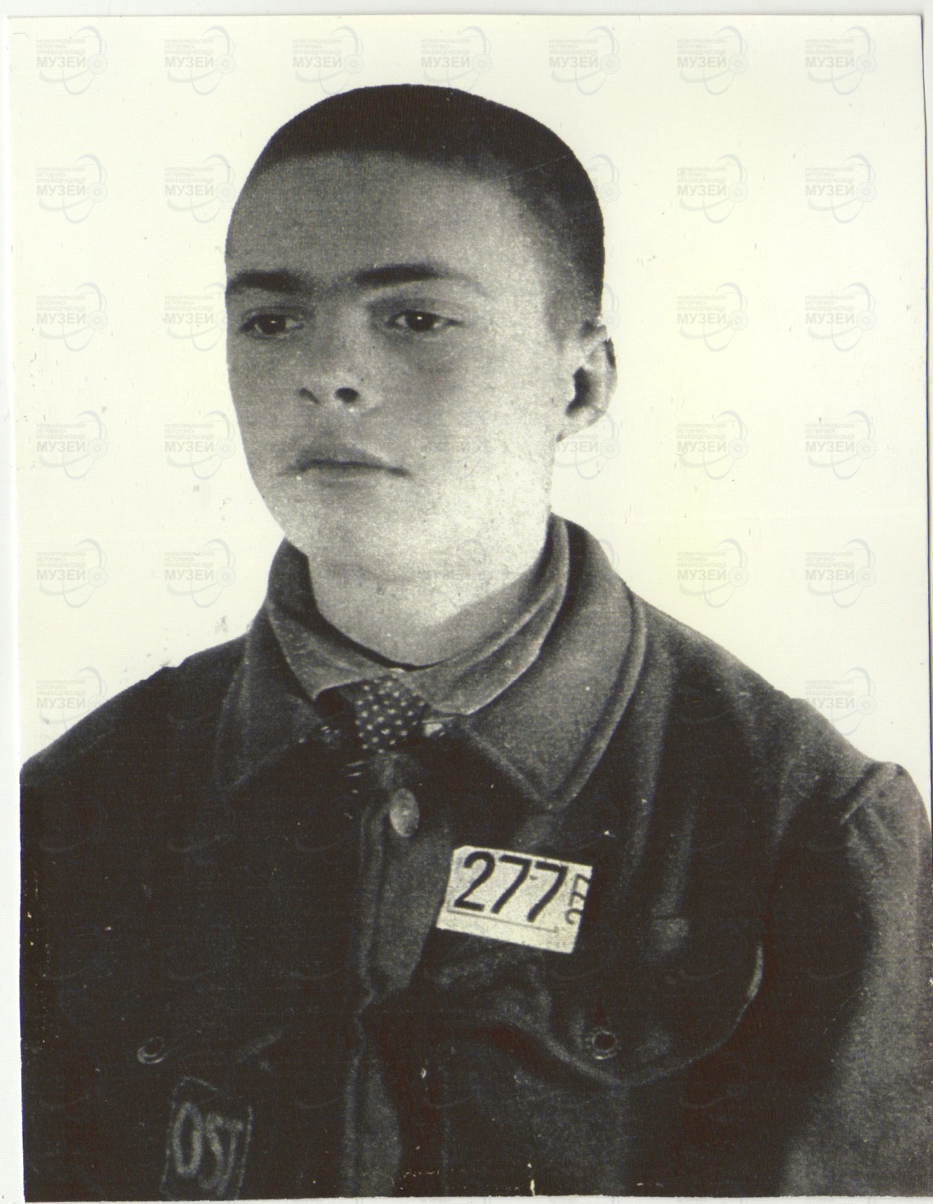 дмитриенко1